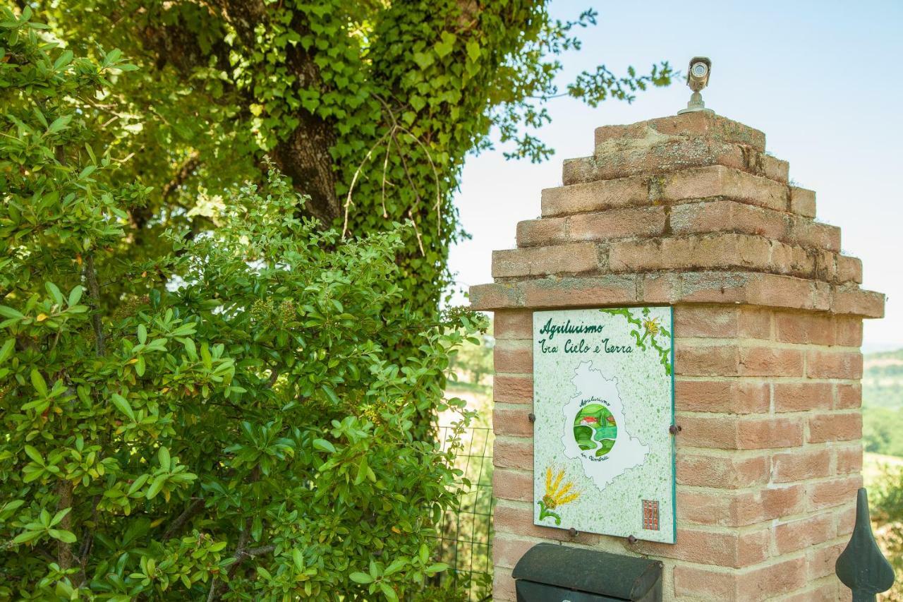 דירות Grutti Agriturismo Bio Tra Cielo E Terra מראה חיצוני תמונה